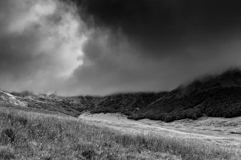 2017_08_09_Auvergne (0025_b-w).jpg - Réserve naturelle de Chastreix / Aout 2017